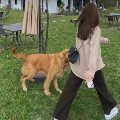 凶杀后